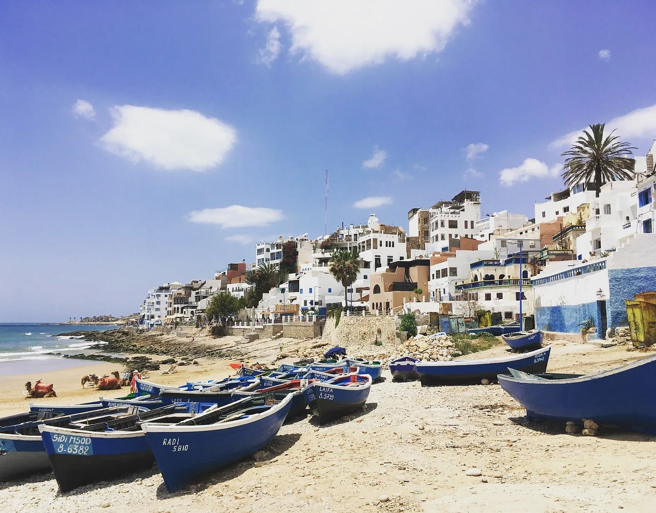 Vue sur la plage de Taghazout, un village de pêcheurs au Maroc, avec des barques colorées alignées sur le sable et des maisons blanches surplombant la côte surf à Taghazout.