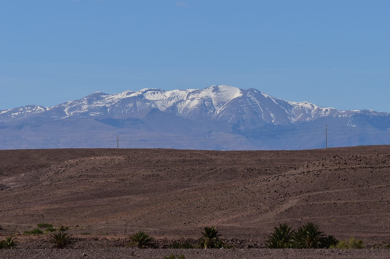 Paysage désertique marocain avec quelques palmiers au premier plan et les sommets enneigés de l'Atlas en arrière-plan